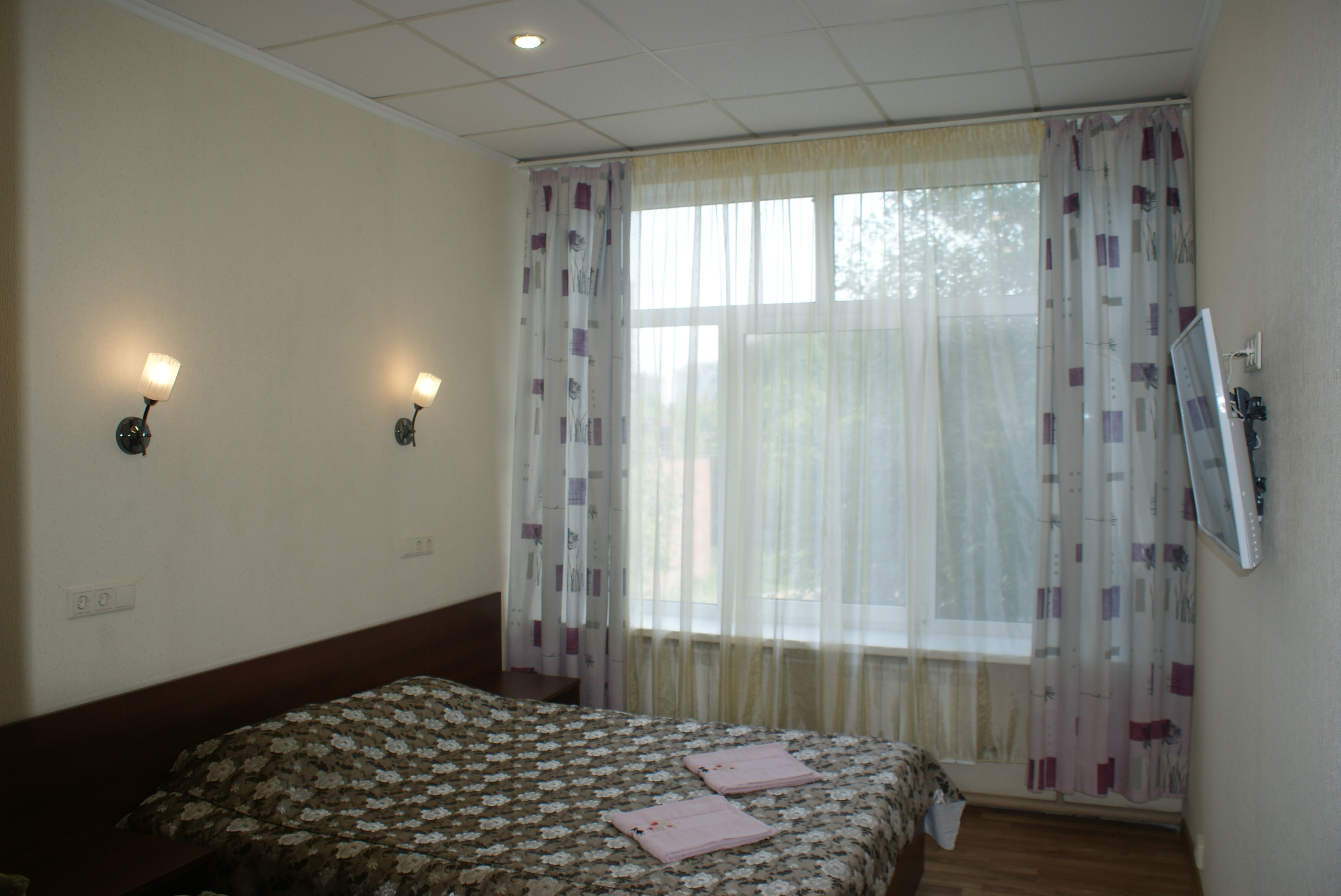 Фото Ковчег