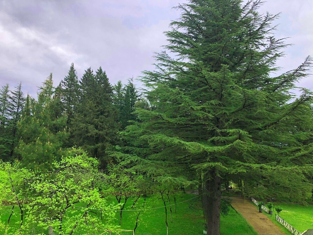 Фото Парк-отель Imeri