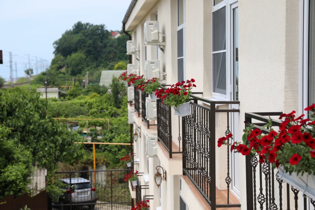 Фото Камбала