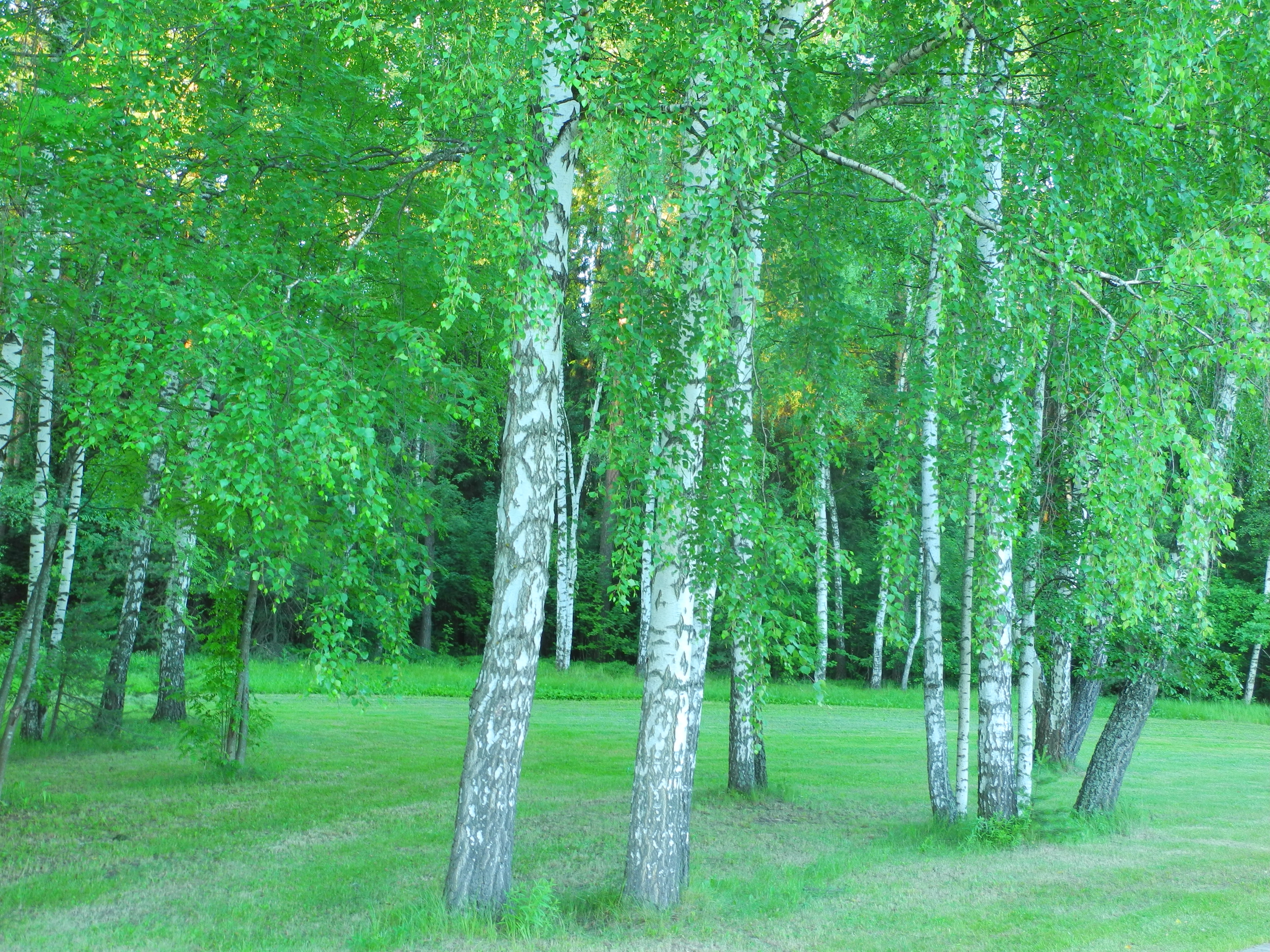 Фото Санаторий Пушкино