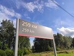 259 км (Yaroslavskiy munitsipalny okrug, Karabikhskoye selskoye poseleniye) ، محطة سكة حديدية