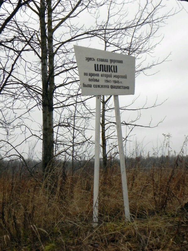 Кладбище илики г ломоносов карта