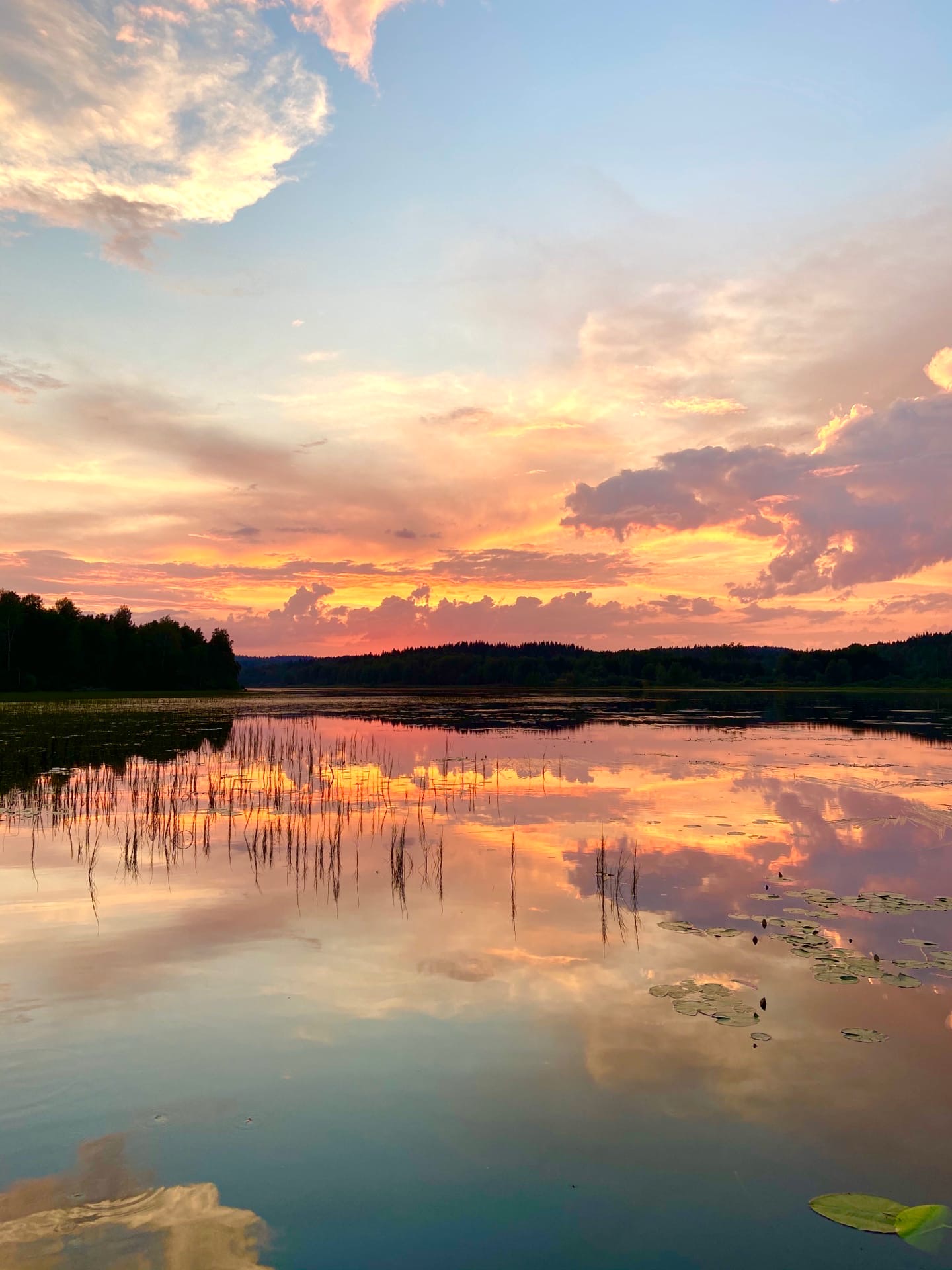 Фото Фазенда Глухомань