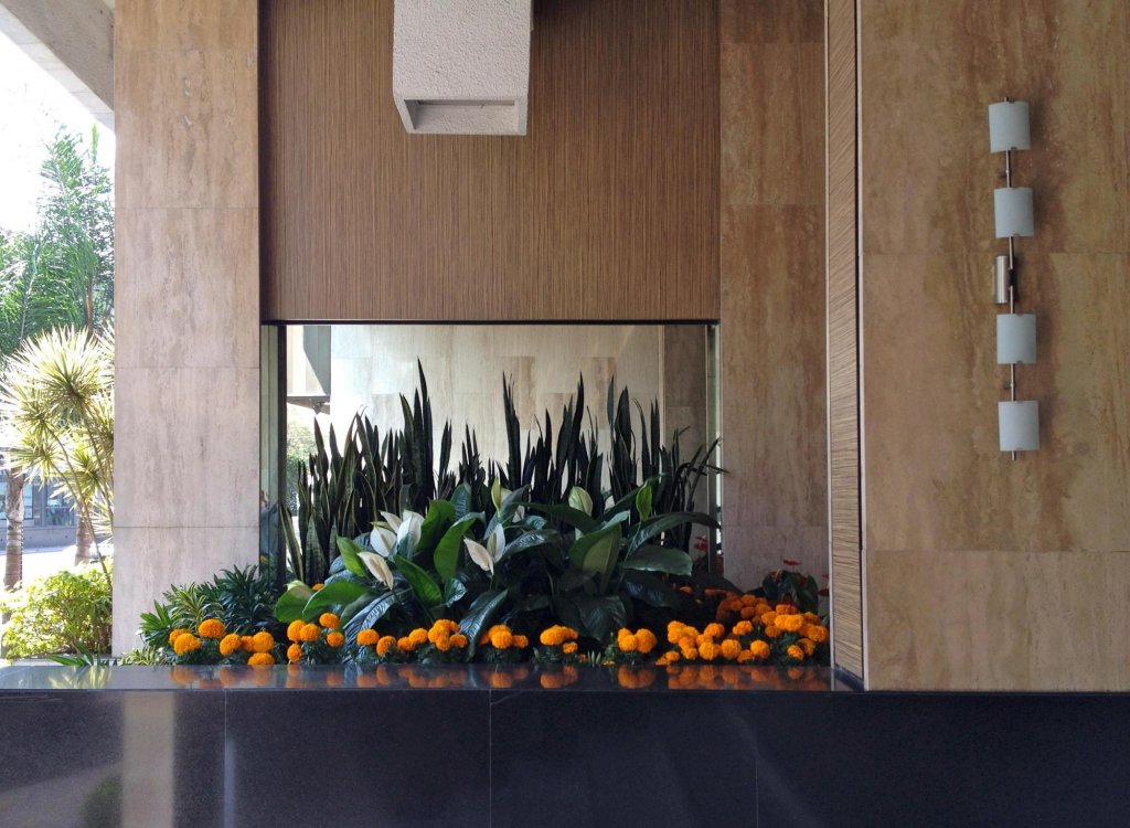 Фото Hotel Marbella