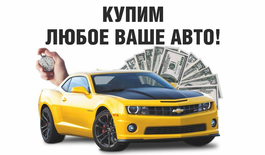 Визитки выкуп авто образец
