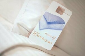 Гостиница Centro Olaya