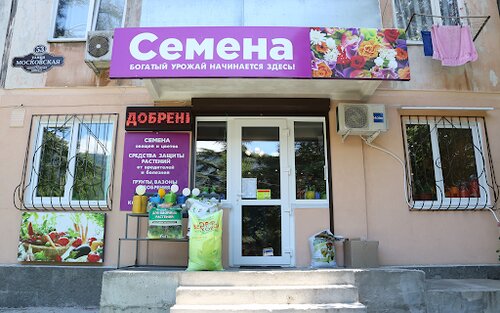 Tohum satan yerler Семена, Yalta, foto