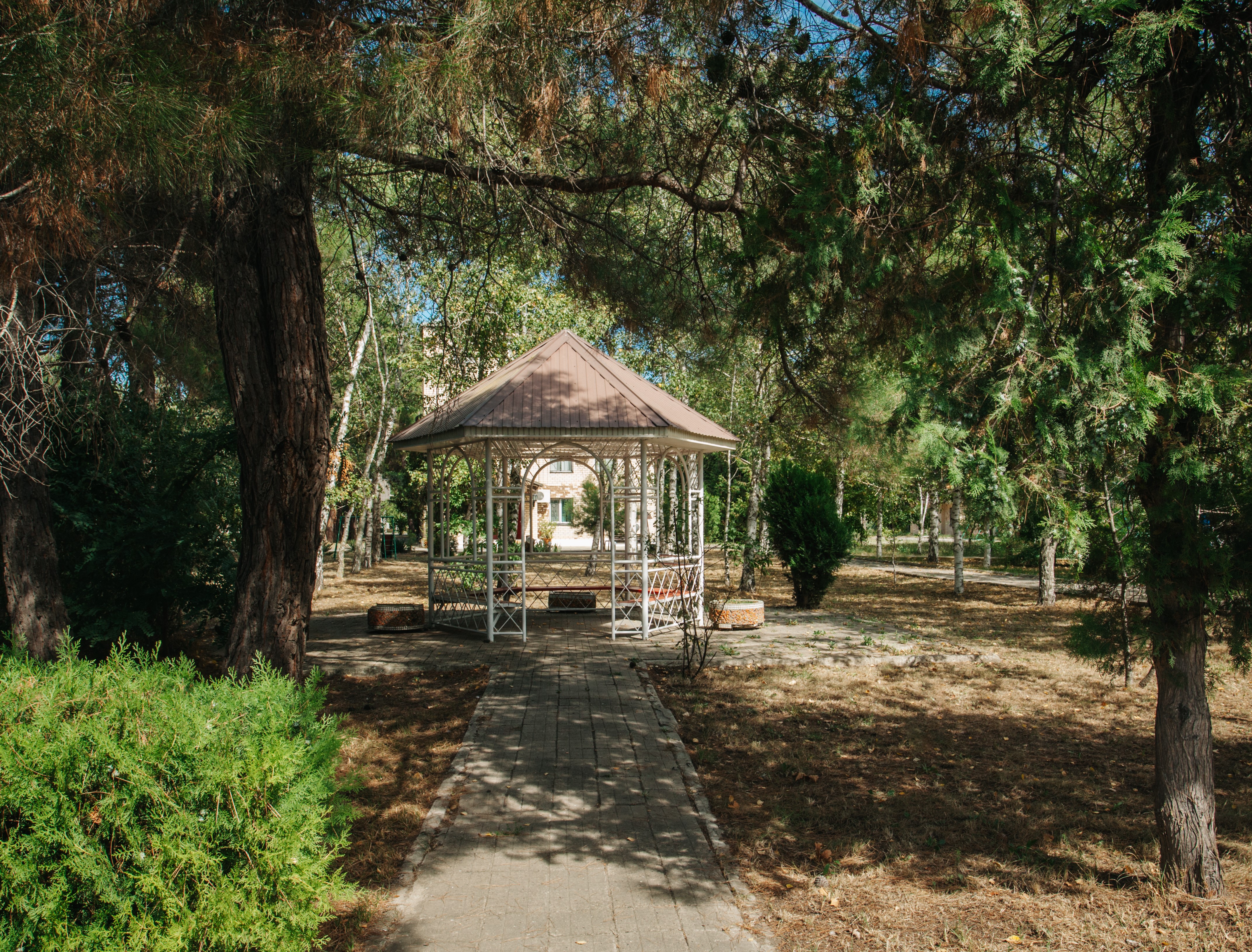 Фото Спутник