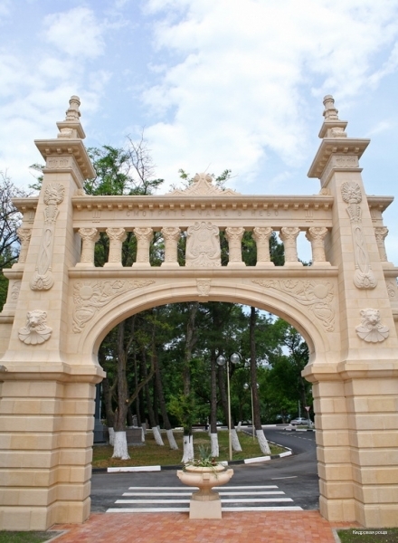 Фото Кедровая роща