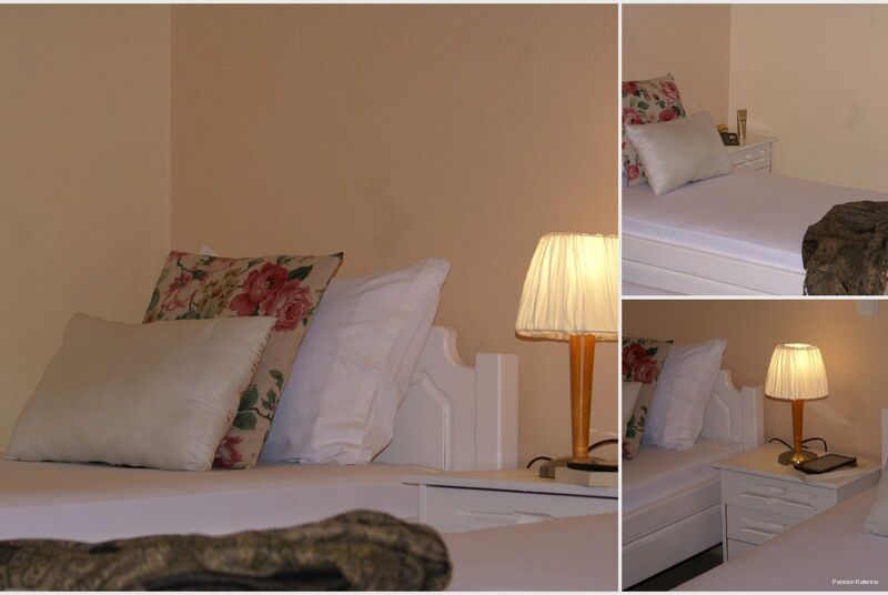 Фото Pansion Thanos