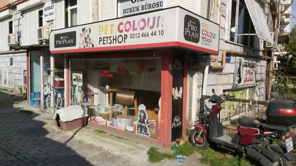 Petshop Pet Colour Pet Shop, Bakırköy, foto