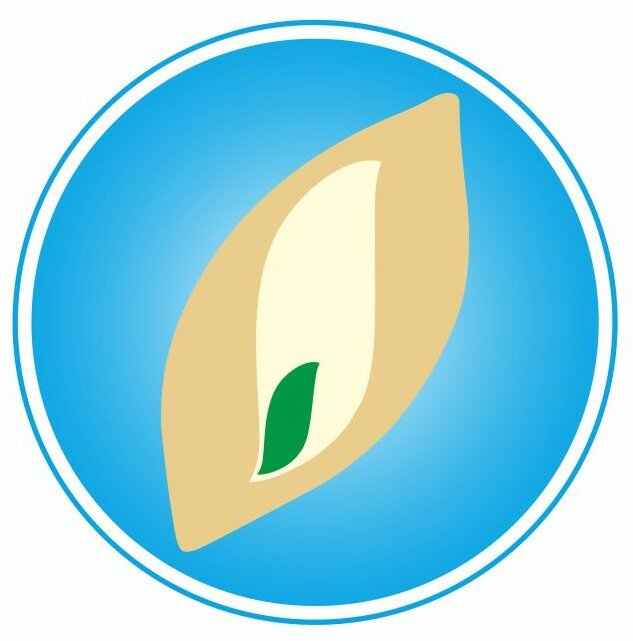 Ольгинская гимназия