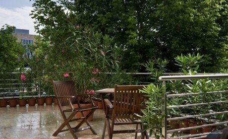 Фото Jagello Business Hotel