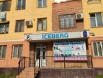 Iceberg (Chilanzar District, Chilanzar Residential Area, 8-mavze, 1), appliance repair