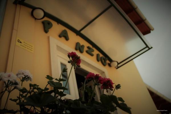 Фото Halász Airport Panzio