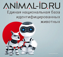 Крылатская ветеринарная клиника - фото 4