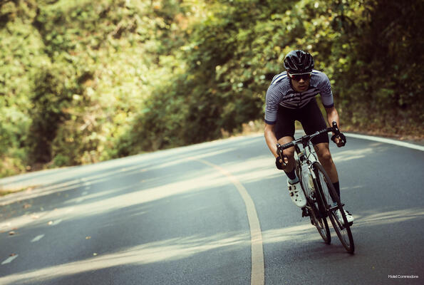 Фото Hotel Commodore