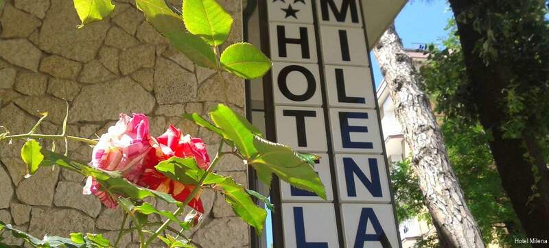 Фото Hotel Milena