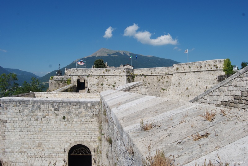 Фото International