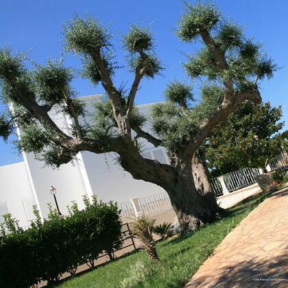 Фото Città Bianca Country Resort