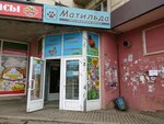 Матильда (Domenshchikov Street, 14), pet shop