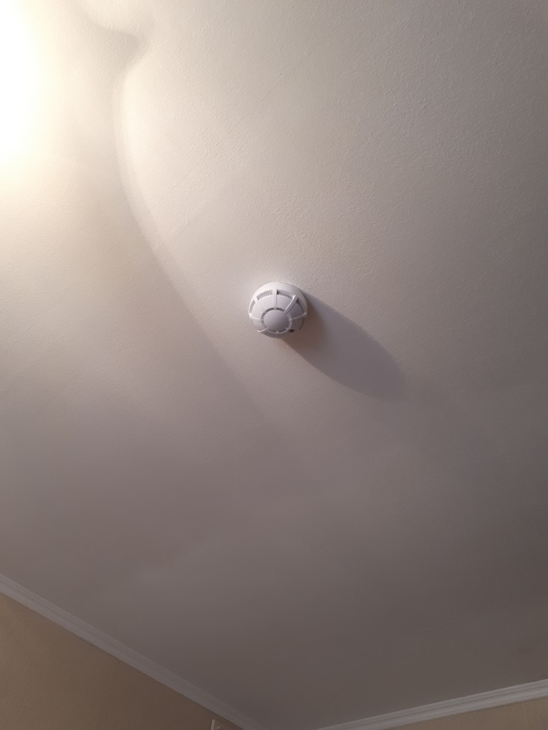 Фото Никита