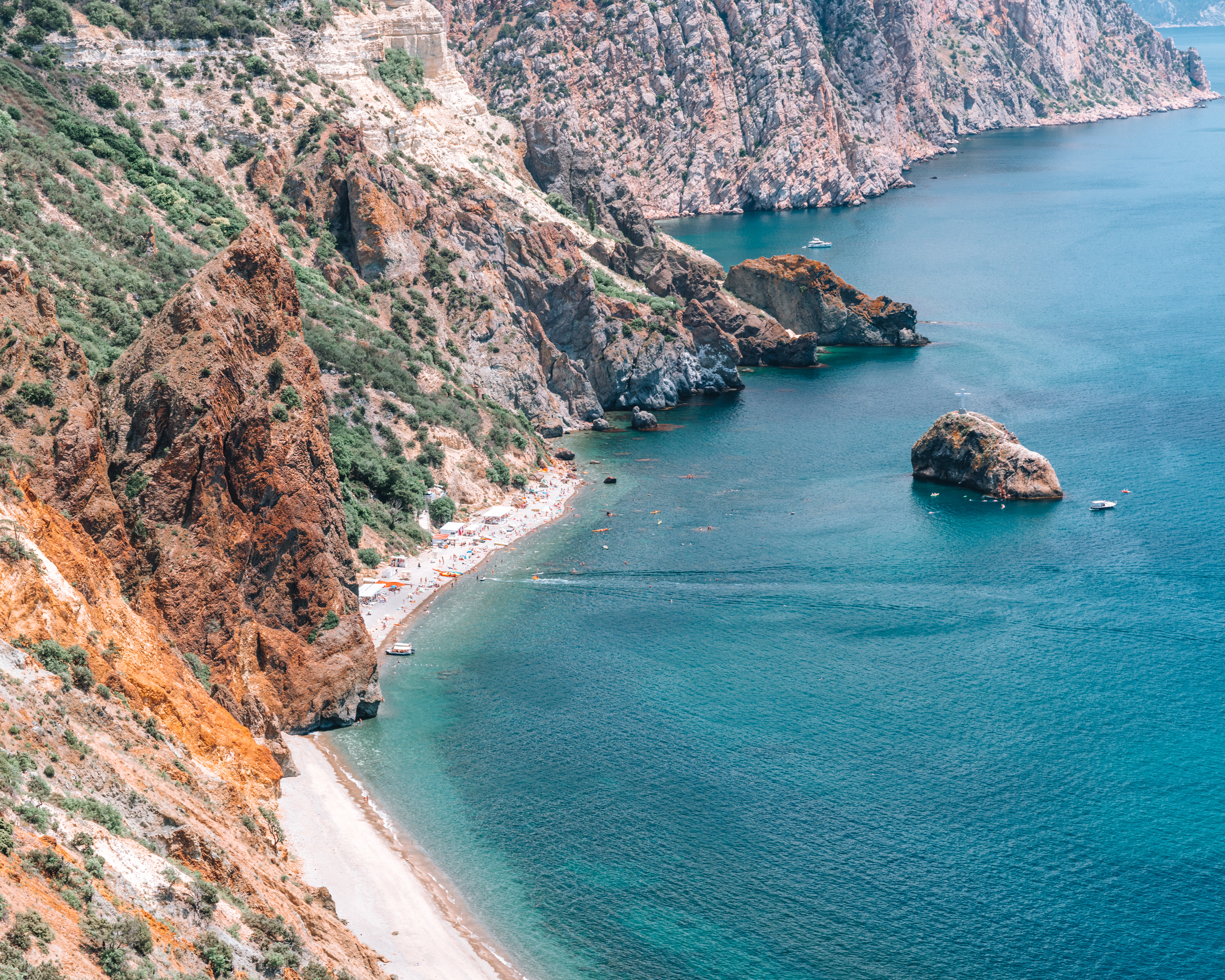 Фото Дельфин