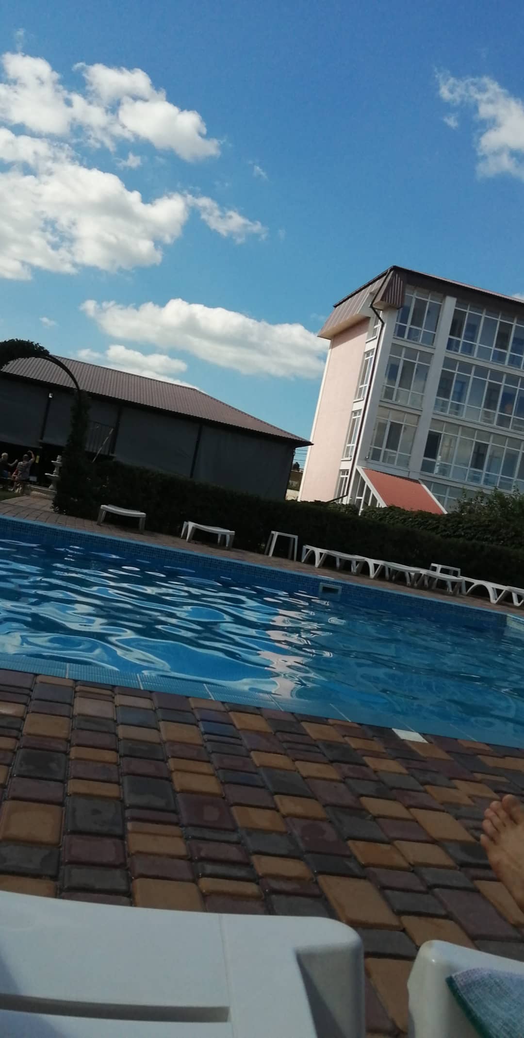 Фото Белый Лев