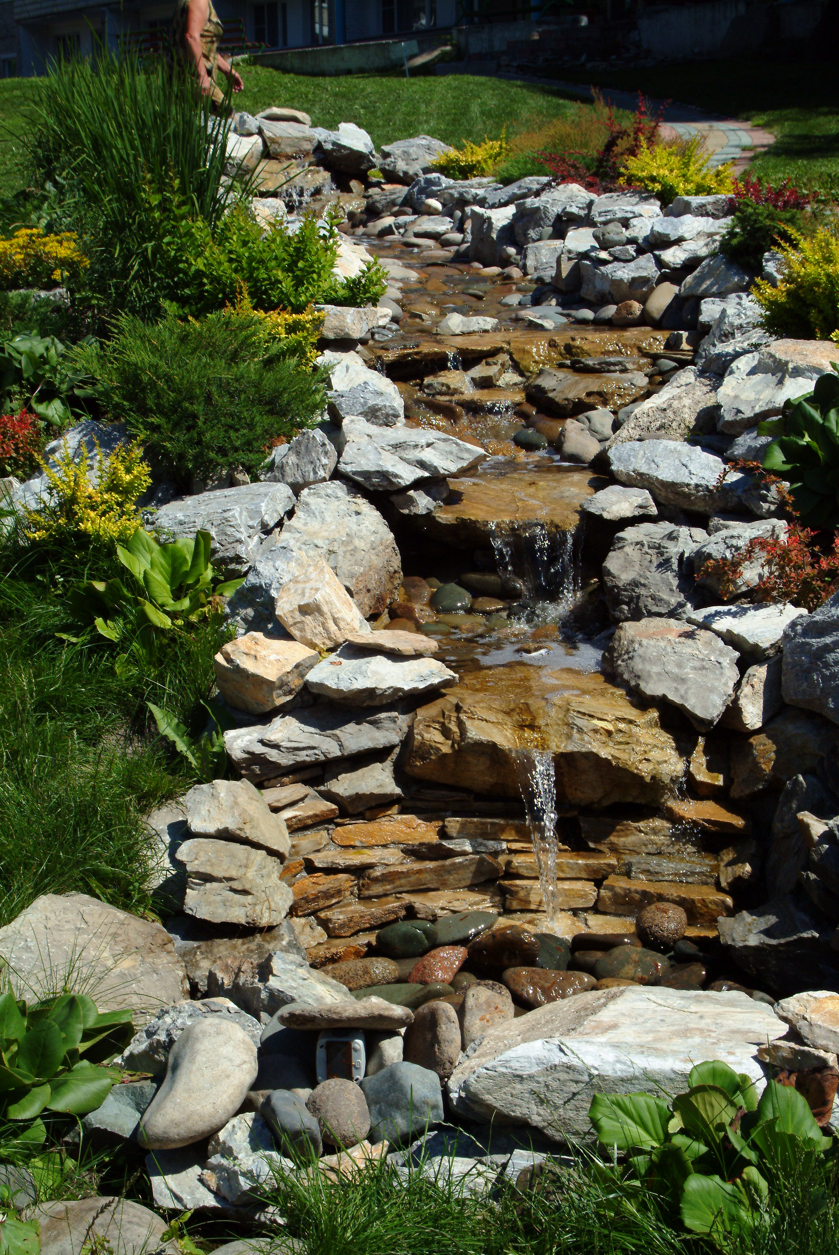 Фото Сосновый бор