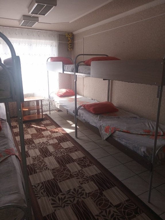 Фото Подсолнух