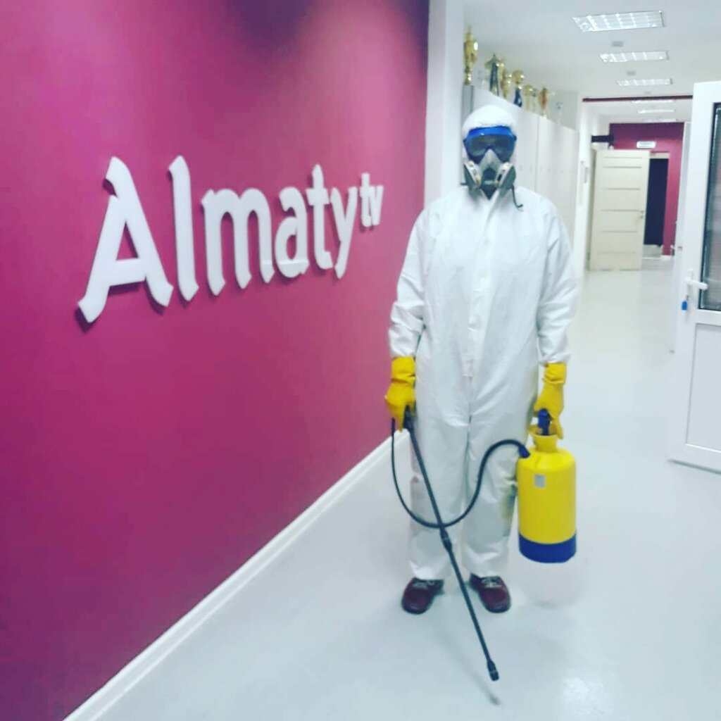 Disinfection, disinsection, deratization Дезинфекция, дезинсекция, дератизация, Almaty, photo