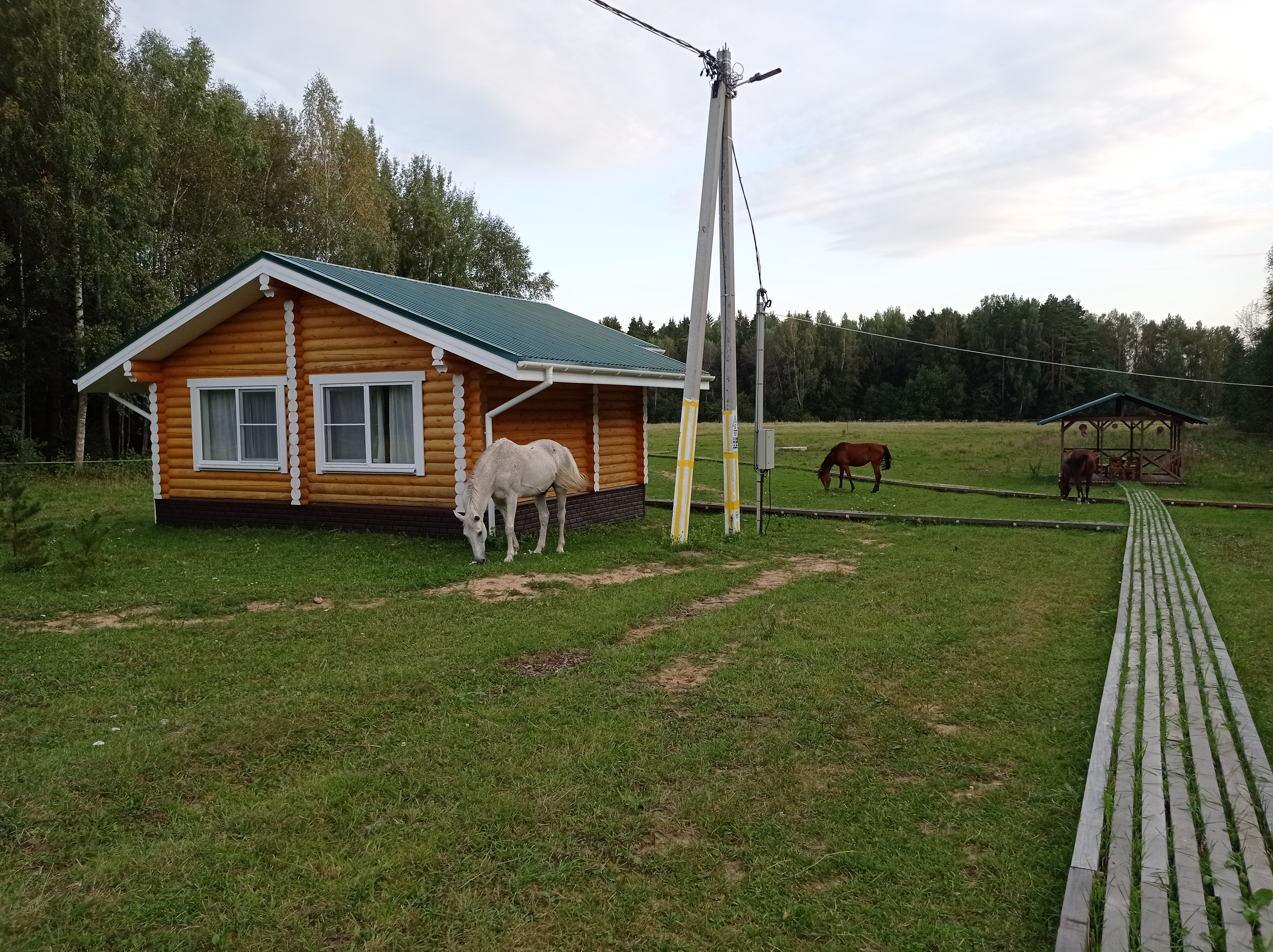 Фото Старсподворье