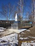 Памятник воинам-землякам, погибшим в годы Великой Отечественной войны (Центральная ул., 1А, посёлок Лесной), памятник, мемориал в Республике Мордовия