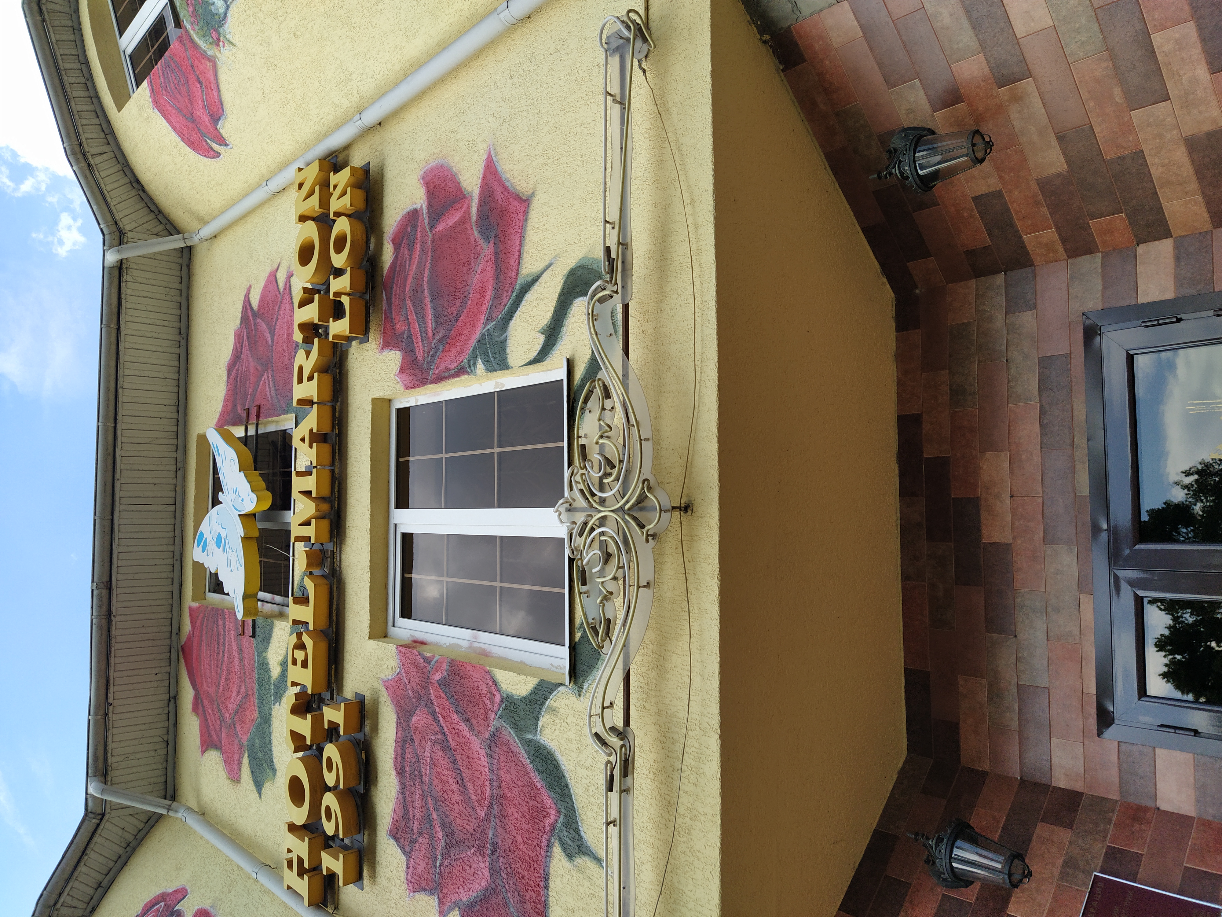 Фото Мартон Лион