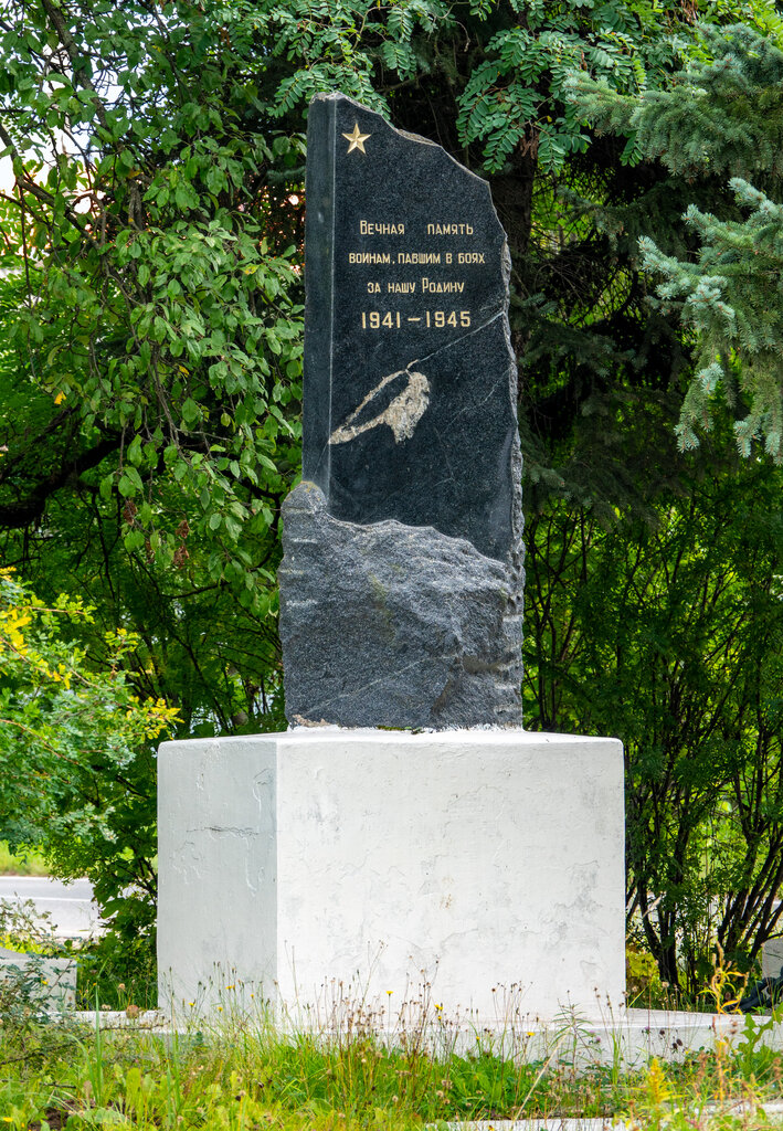 Monument, memorial Памяти павших в боях за нашу Родину 1941 - 1945, Shelkovo, photo