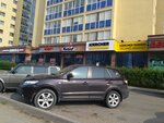 Magnoliya (Rakhimzhan Koshkarbayev Avenue, 56) ، محل زهور