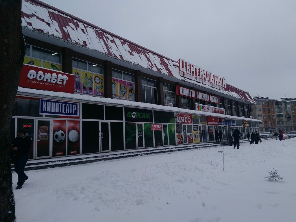 Торговый центр Торговый центр Центральный, Алексин, фото