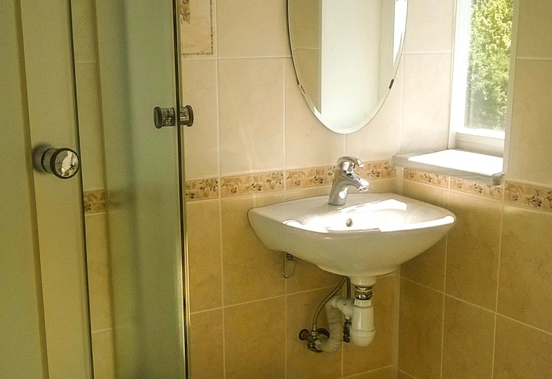 Фото Золотая пальма