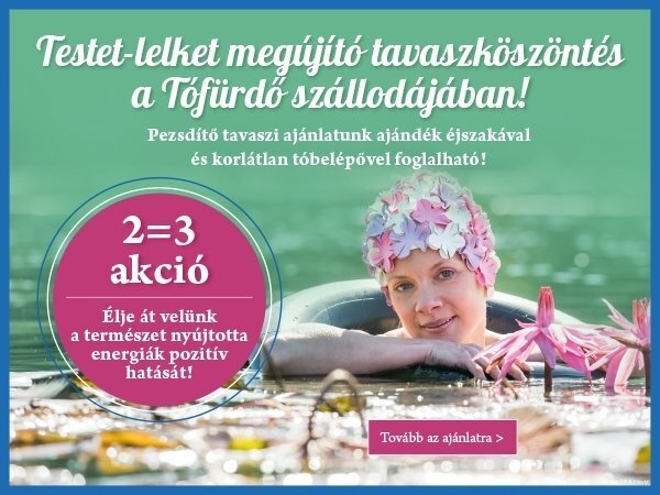 Фото Hotel SPA Hévíz