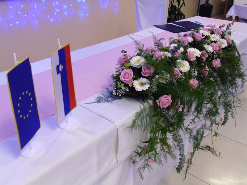 Фото Hotel Galaksija Trebnje