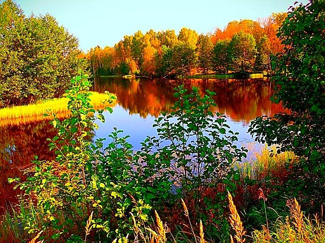 Фото Лепота