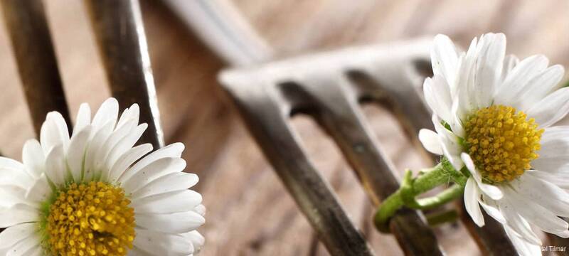 Фото Hotel Tilmar