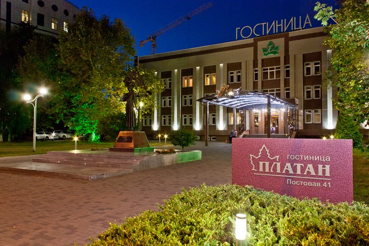 Фото Платан