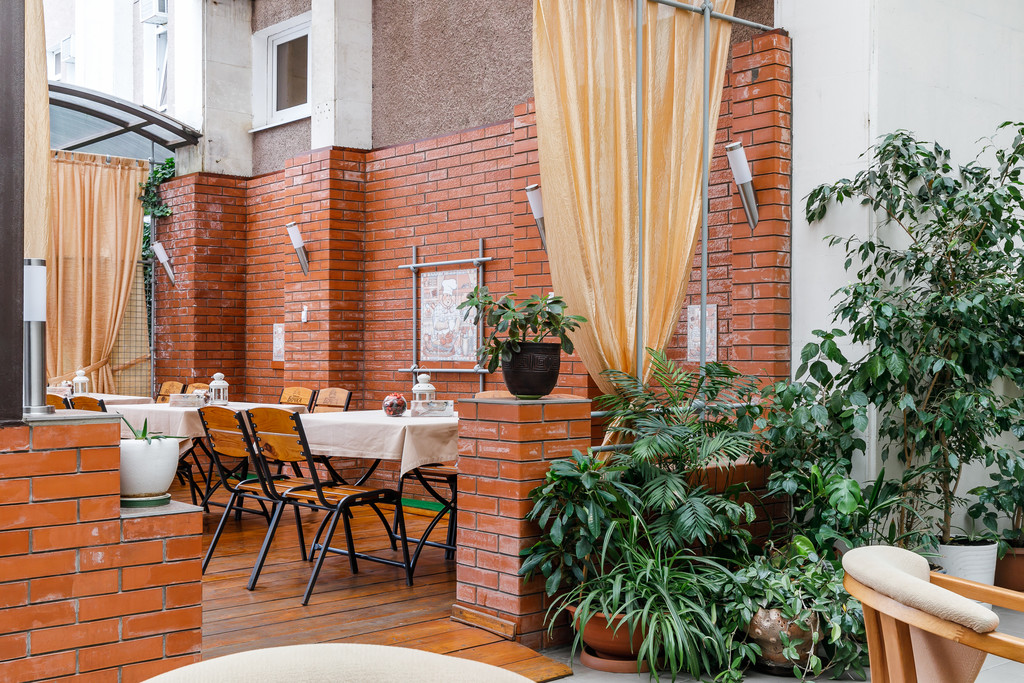 Фото Платан