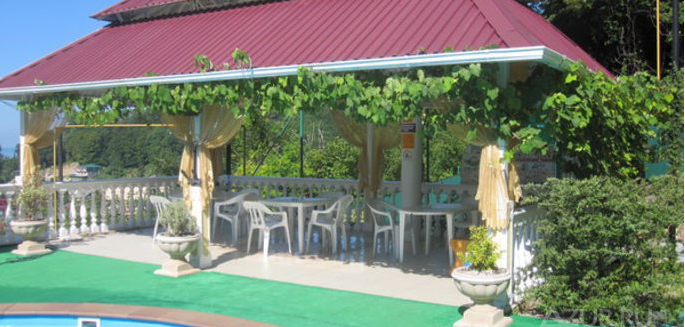 Фото Аист и Капуста