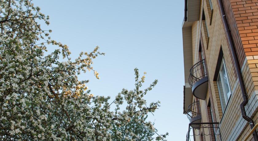 Фото Вишневый сад