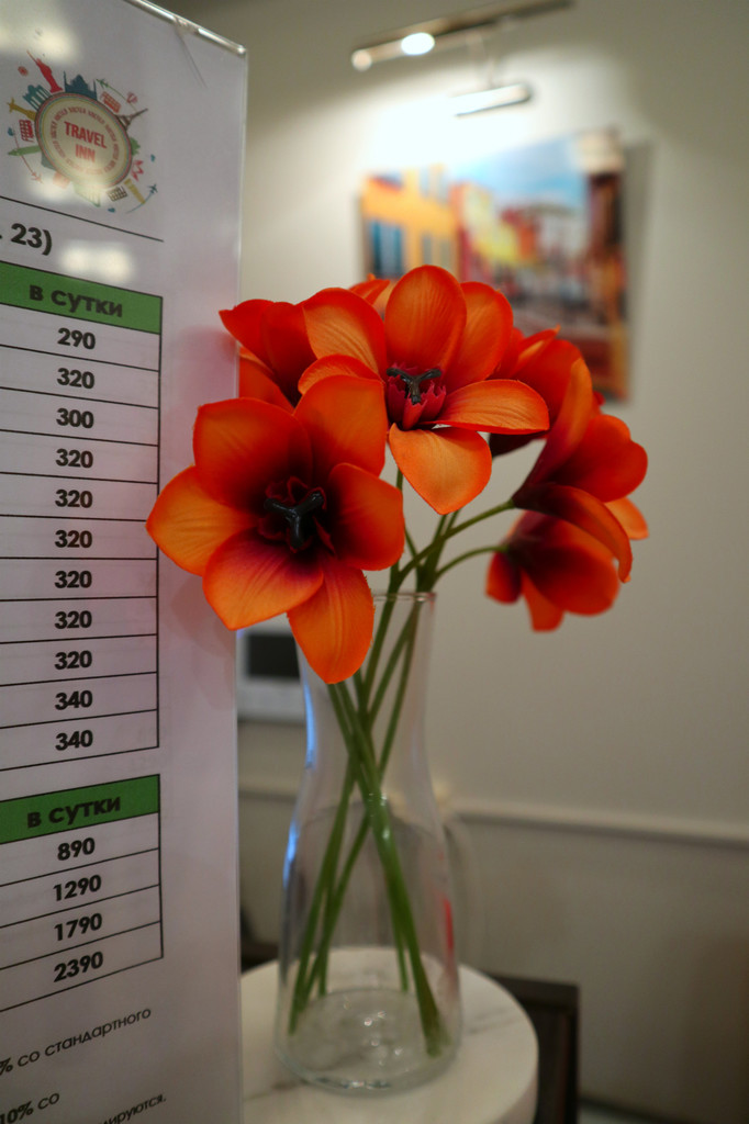 Фото Travel inn Новослободская