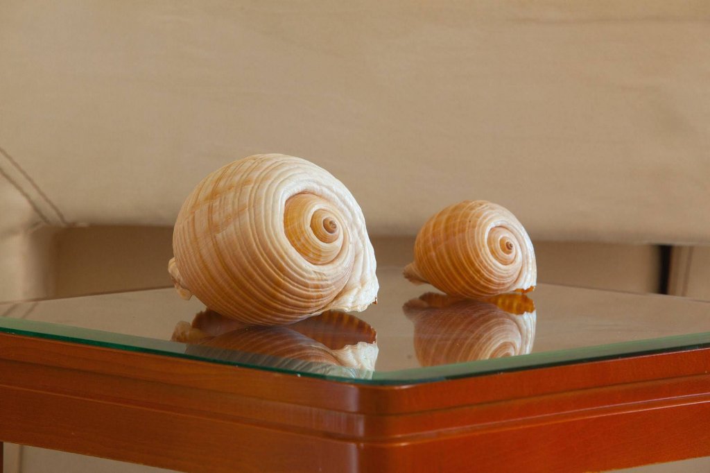 Фото Pavlos Hotel