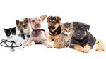 Zoo Search (Novokolomyazhskiy Avenue, 4к1) ، مركز حديقة الحيوان