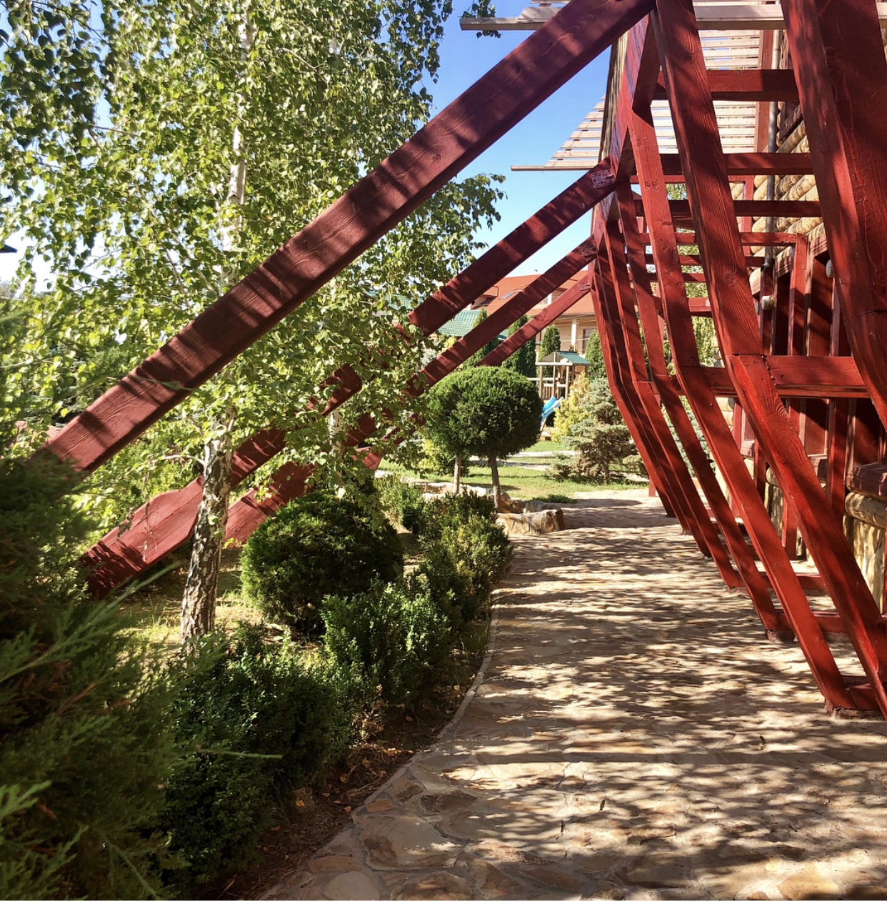 Фото Ковчег